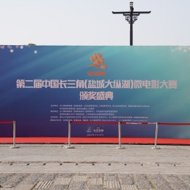 第二届长三角（盐城大纵湖）微电影大赛走红毯