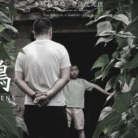 《杀鸡》丨第二届中国长三角（盐城大纵湖）微电影大赛获奖作品展播
