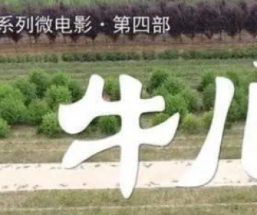 聚焦乡村振兴，泰安系列微电影《汶水河畔》推出第四部《牛儿》