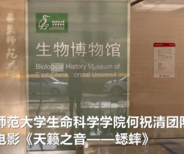 高校团队拍科普微电影 带人们走进蟋蟀的世界