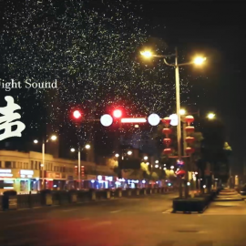 《夜声》丨第二届中国长三角（盐城大纵湖）微电影大赛获奖作品展播