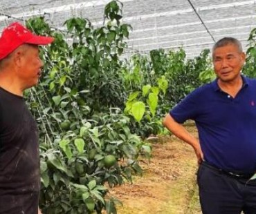 浙江临海七旬村支书：梦想让村民“在家门口赚大钱”