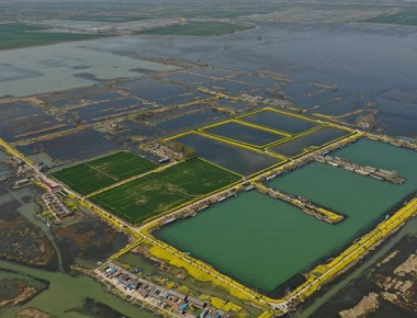 江苏省淮安市洪泽区岔河镇