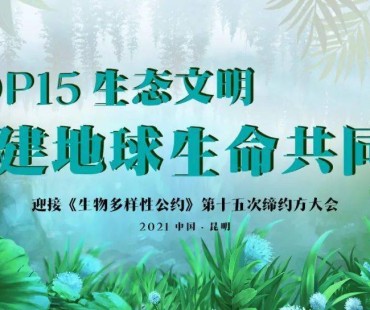 【生态文明】短视频大赛！万元奖金等你拿！