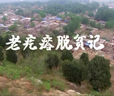 《老疙瘩脱贫记》丨首届中国长三角（大纵湖）微电影大赛获奖作品展播