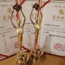 瑞安发布：中国长三角微电影大赛，瑞安喜获大奖！