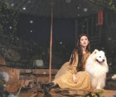 《去有风的地方》：我们为何热衷治愈系故事