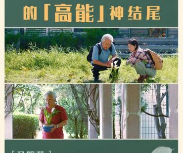 《叫我郑先生》上映引观众泪目，结尾惊喜走心被誉“年度深情”
