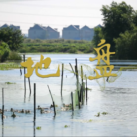 《地盘》丨第二届中国长三角（盐城大纵湖）微电影大赛获奖作品展播