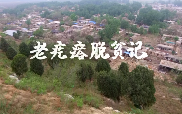 《老疙瘩脱贫记》丨首届中国长三角（大纵湖）微电影大赛获奖作品展播
